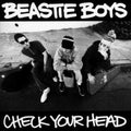Beastie Boys "CHECK YOUR HEAD" 2LP