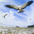Masayoshi Takanaka “SEYCHELLES” CD